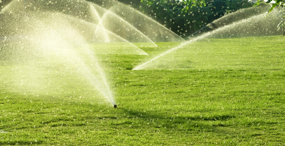 A row of sprinklers from an irrigation system sprays water onto bright green grass a sunny day.